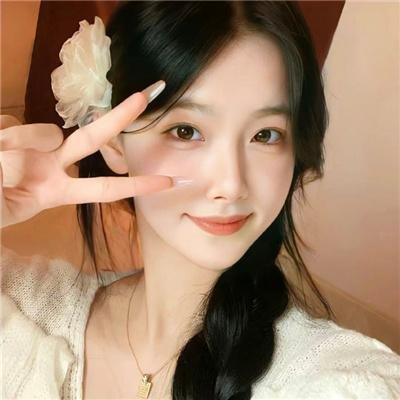挪威的抵抗