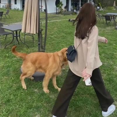 门外杀机